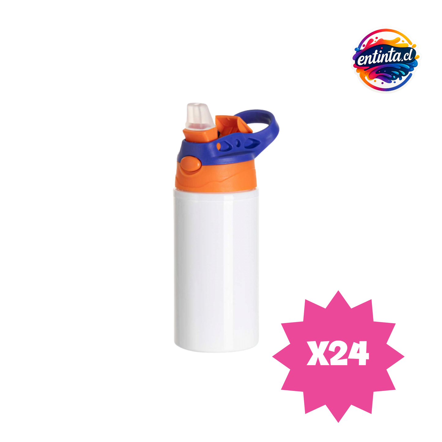 Botella Personalizada BS de Aluminio 500ml